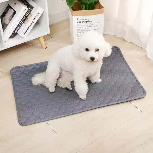 Reusable Dog Pee Pad Washable Waterproof Training Mat