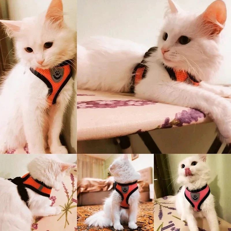 Adjustable Mesh Pet Harness with Leash Small Dogs