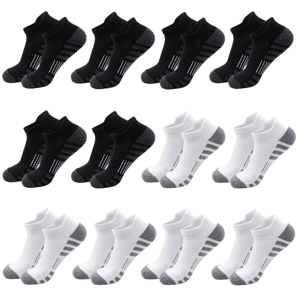Ankle Athletic Running Socks Cushioned Low Cut Sports