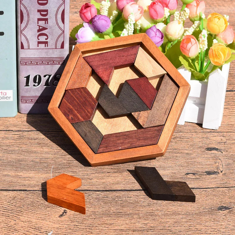 Wooden Geometric Shape Jigsaw Board Kids Brain Teaser Puzzle