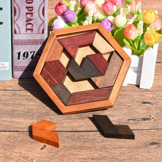 Wooden Geometric Shape Jigsaw Board Kids Brain Teaser Puzzle