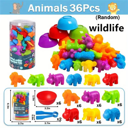 Rainbow Pom Pom Sorting Toy Set Fine Motor Game