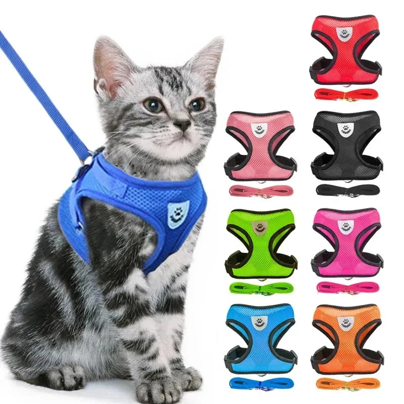 Adjustable Mesh Pet Harness with Leash Small Dogs