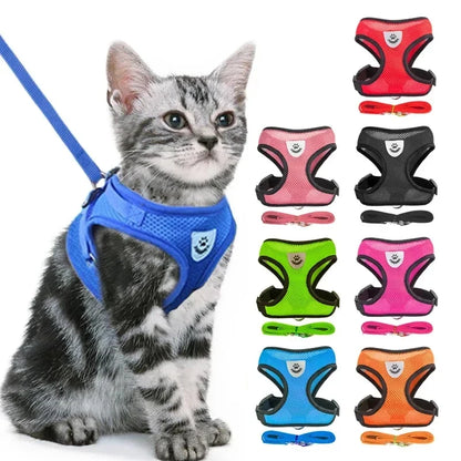 Adjustable Mesh Pet Harness with Leash Small Dogs