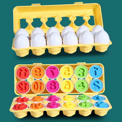 Matching Shape Egg Screws Toy Montessori Color Sorter