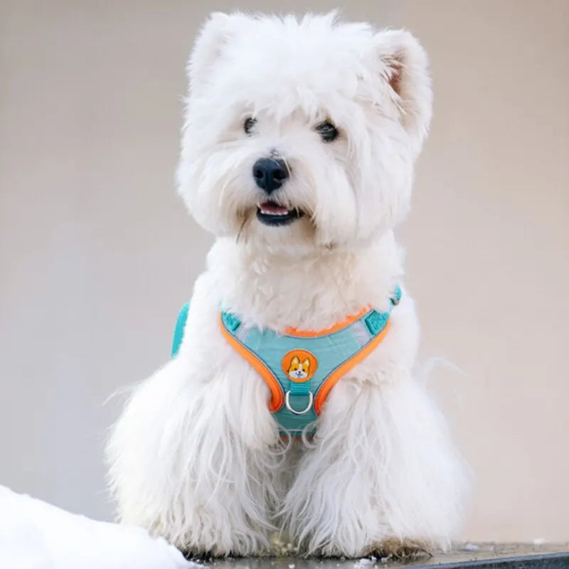 Adjustable No Pull Dog Harness Reflective Leash Set