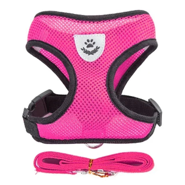 Adjustable Mesh Pet Harness with Leash Small Dogs