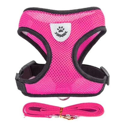 Adjustable Mesh Pet Harness with Leash Small Dogs