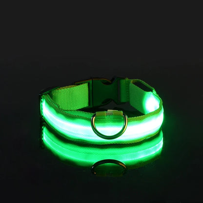 Nylon LED Night Safety Flashing Glow Dog Leash Collar
