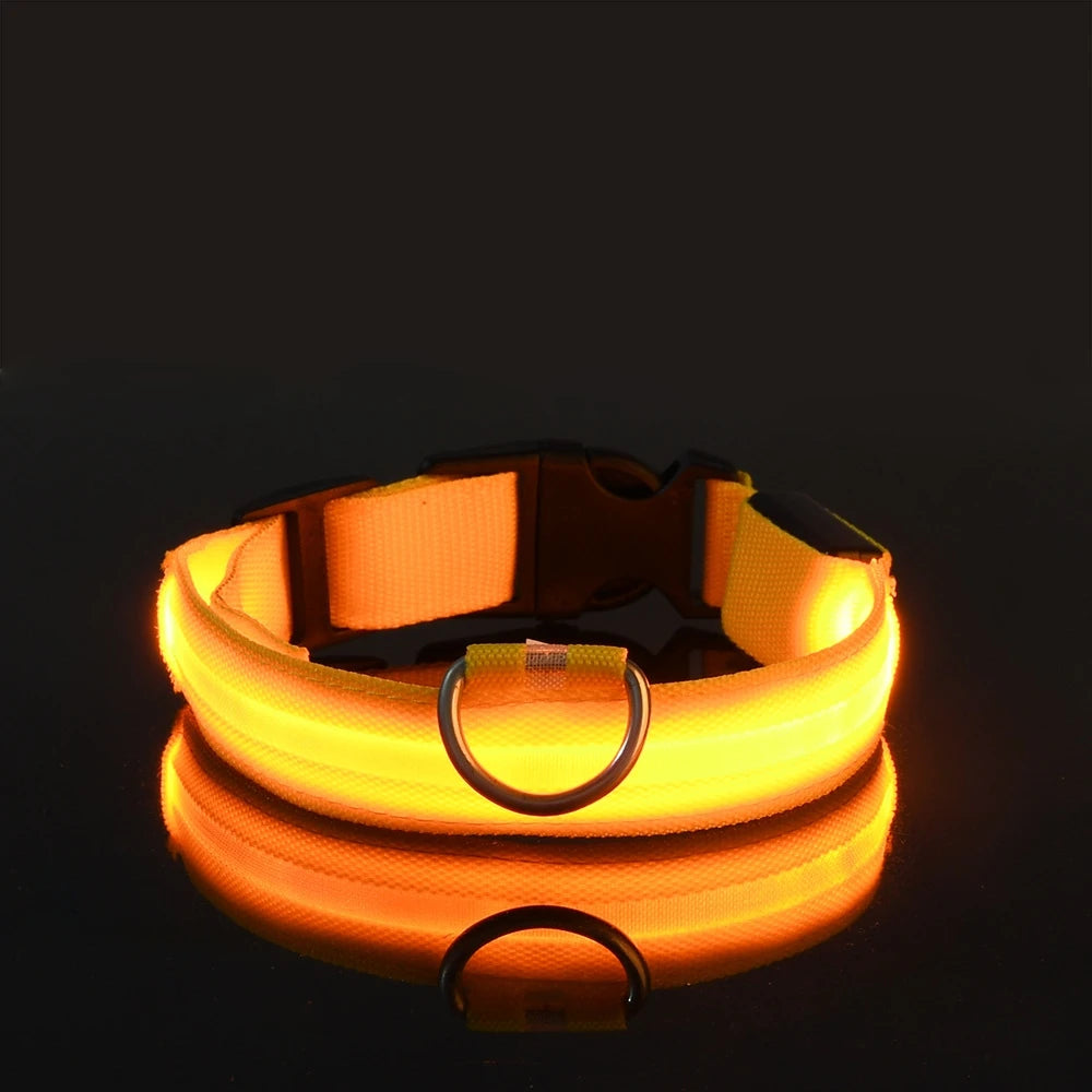 Nylon LED Night Safety Flashing Glow Dog Leash Collar