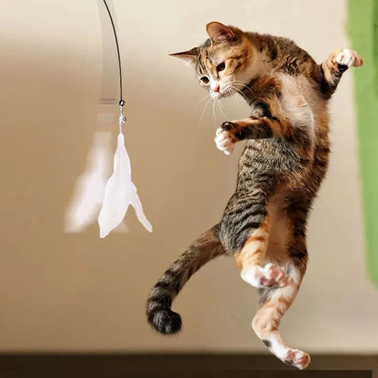Suction Cup Cat Teaser Wand Interactive Feather Toy Pole