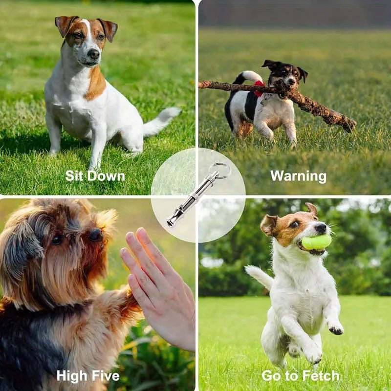Dog Whistle To Stop Barking Silent Pet Recall Whistle