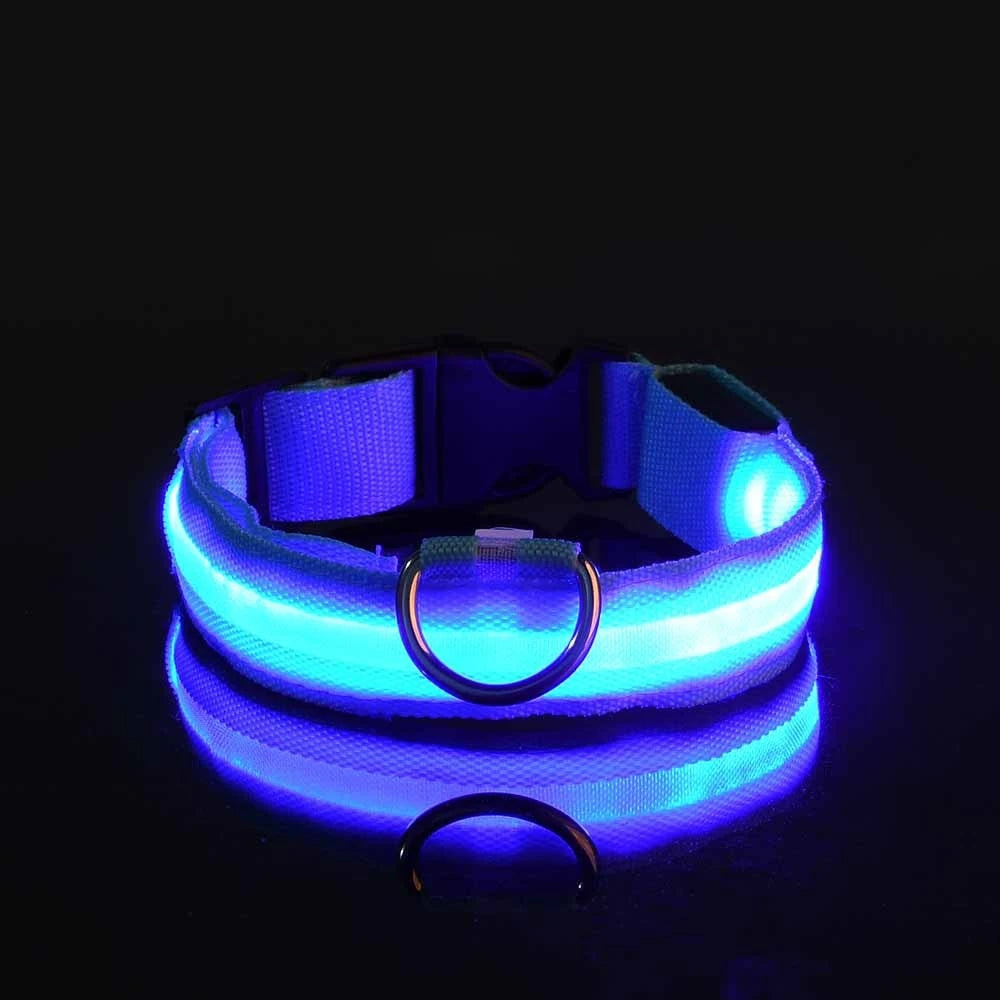 Nylon LED Night Safety Flashing Glow Dog Leash Collar