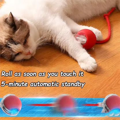 Automatically Teasing Cat Balls Self Exciting Electric