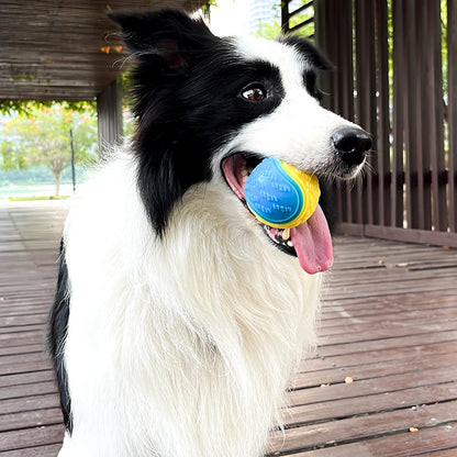 Soft TPR Squeaky Dog Ball Interactive Teeth Cleaning Toy