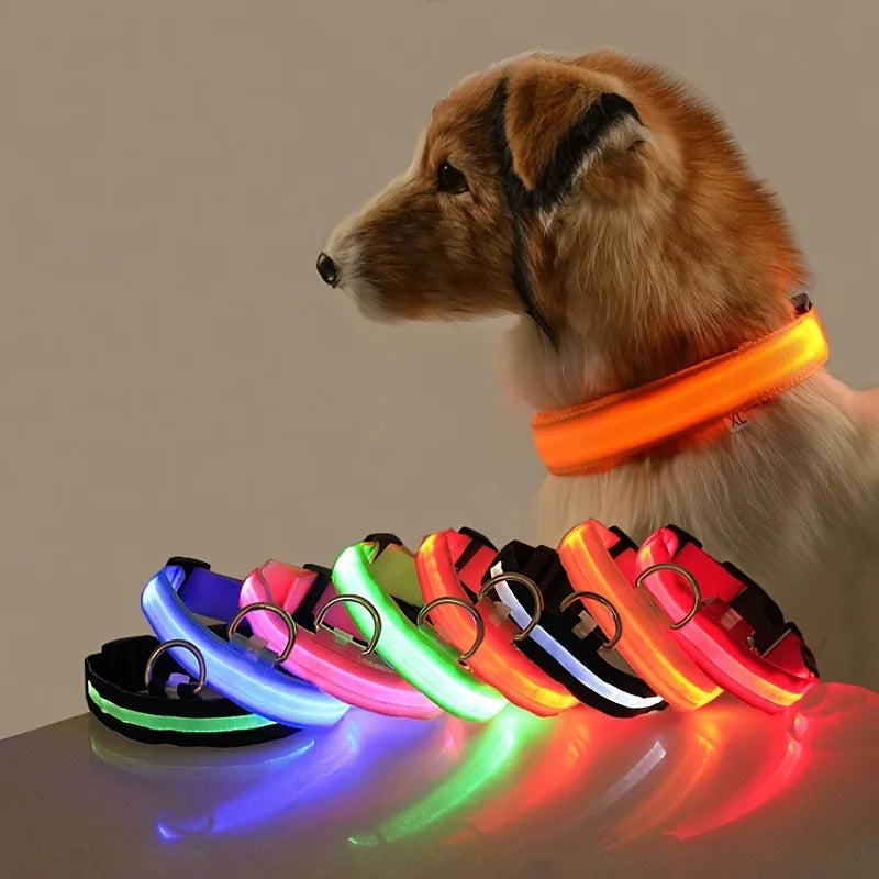 Nylon LED Night Safety Flashing Glow Dog Leash Collar