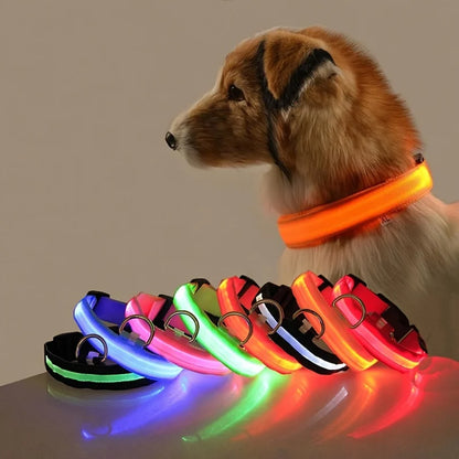 Nylon LED Night Safety Flashing Glow Dog Leash Collar