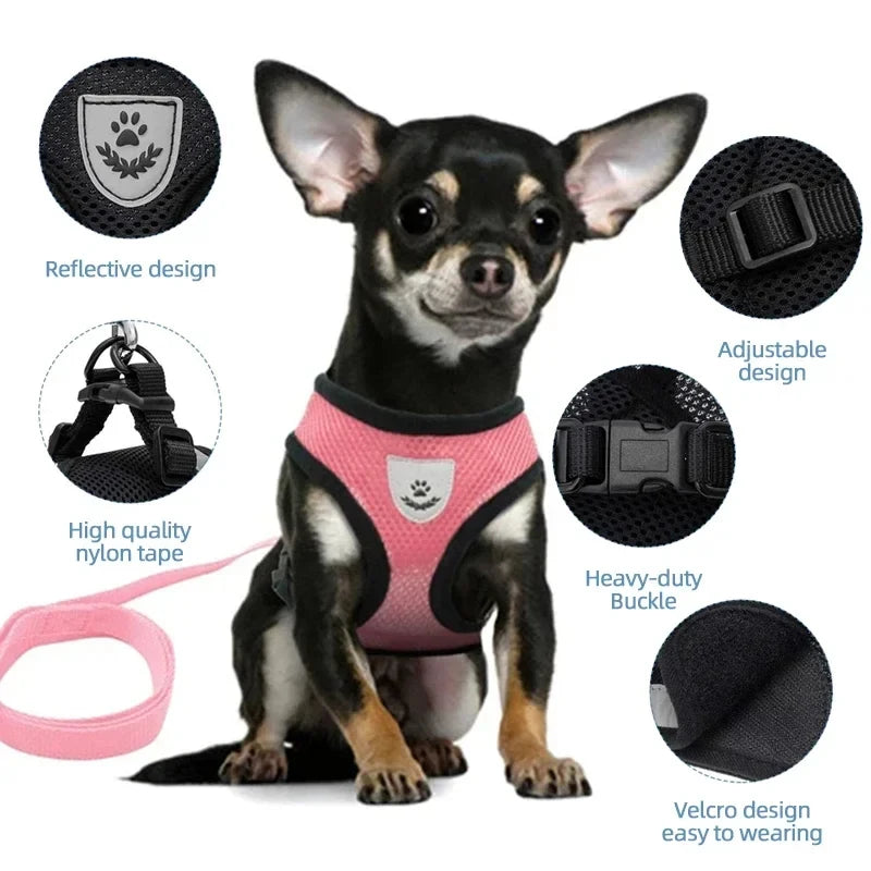 Adjustable Mesh Pet Harness with Leash Small Dogs