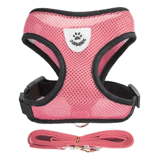 Adjustable Mesh Pet Harness with Leash Small Dogs