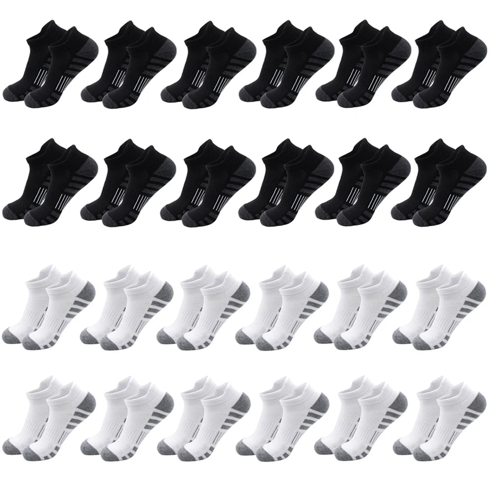 Ankle Athletic Running Socks Cushioned Low Cut Sports