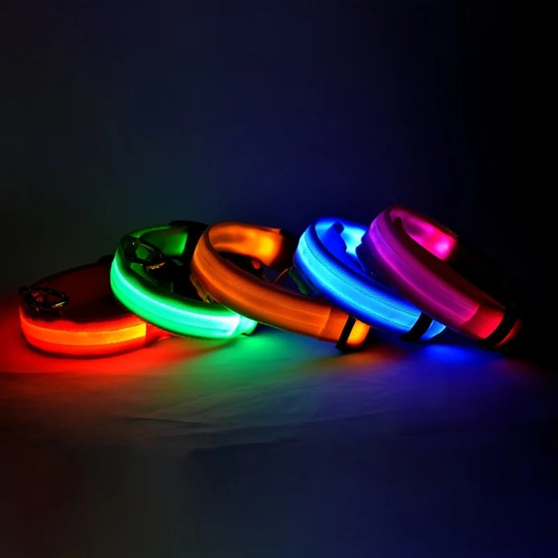 Nylon LED Night Safety Flashing Glow Dog Leash Collar