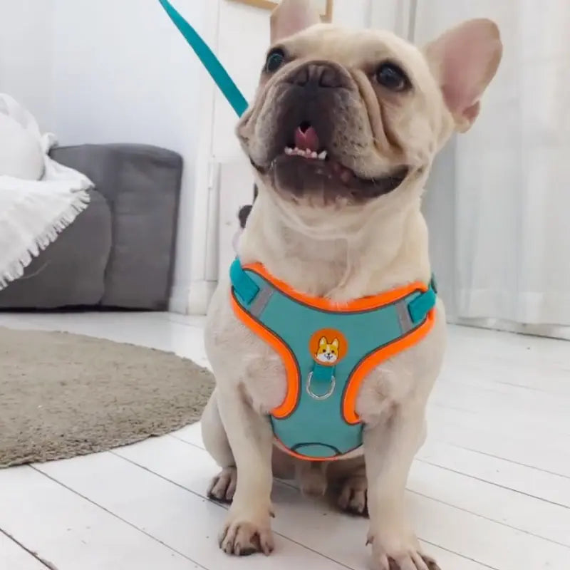 Adjustable No Pull Dog Harness Reflective Leash Set