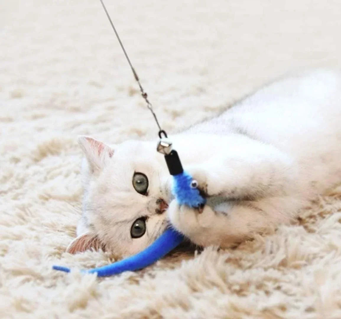 Retractable Cat Feather Wand Toy Set Teaser Stick