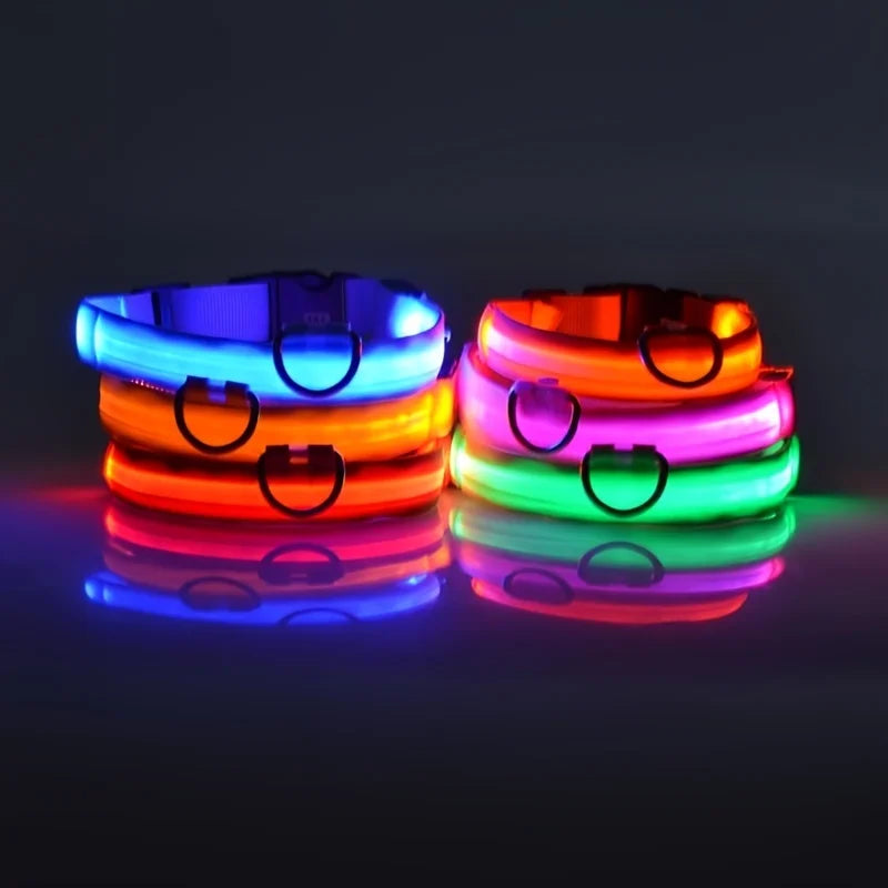 Nylon LED Night Safety Flashing Glow Dog Leash Collar