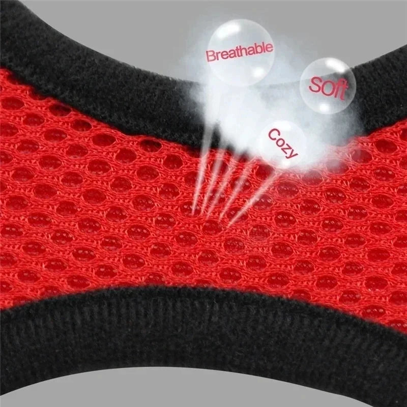 Adjustable Mesh Pet Harness with Leash Small Dogs