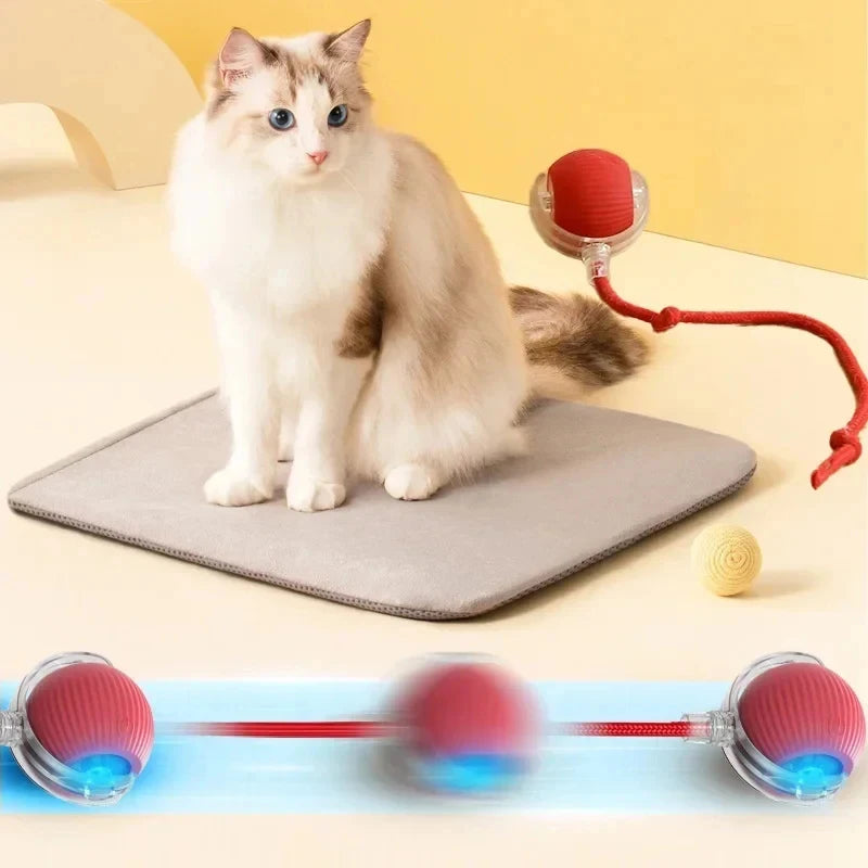 Rechargeable Automatic Rolling Ball Cat Toy Electric