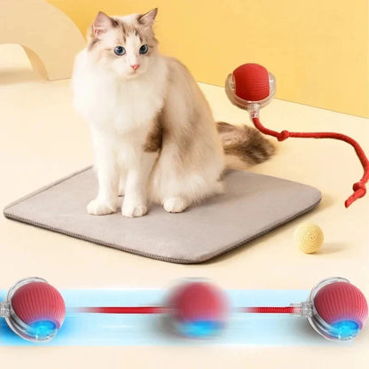 Rechargeable Automatic Rolling Ball Cat Toy Electric