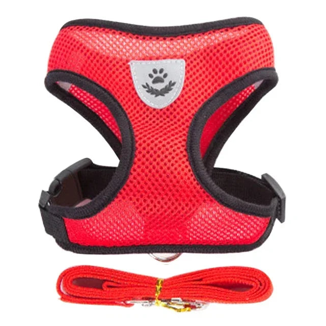Adjustable Mesh Pet Harness with Leash Small Dogs