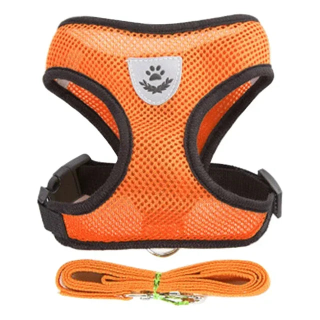 Adjustable Mesh Pet Harness with Leash Small Dogs