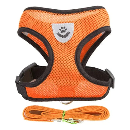 Adjustable Mesh Pet Harness with Leash Small Dogs