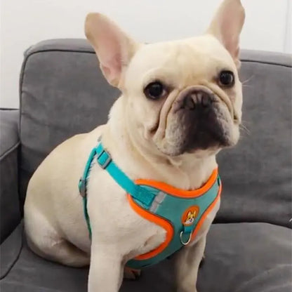 Adjustable No Pull Dog Harness Reflective Leash Set