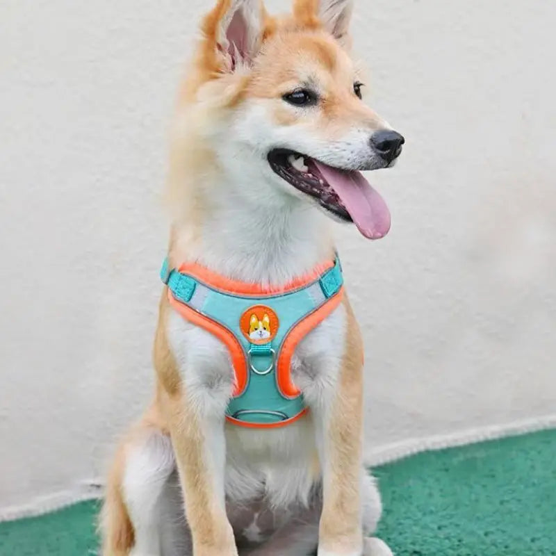 Adjustable No Pull Dog Harness Reflective Leash Set