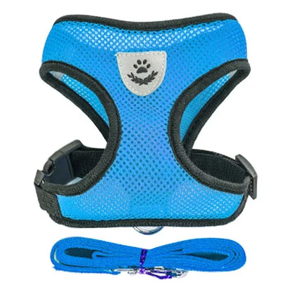 Adjustable Mesh Pet Harness with Leash Small Dogs